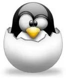 Le Kernel de Linux passe en version 3.0 RC1