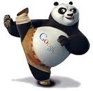 Google Panda : les gagnants et les perdants