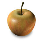 Illustration : Pomme Grenette