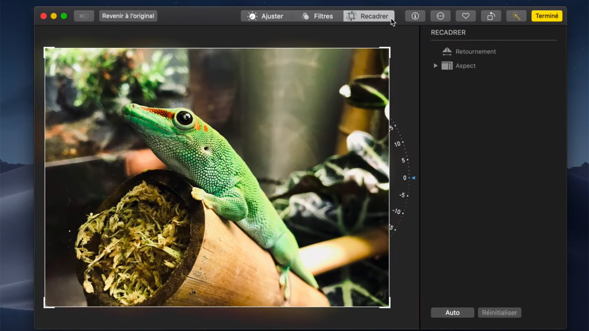 Apple vous dit comment modifier des photos sur un Mac (en vidéo)