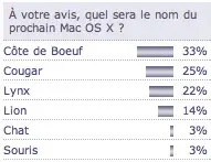 Mac OS X 10.6 côte de bœuf