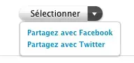 Twitter et Facebook sur l'AppleStore... ou presque