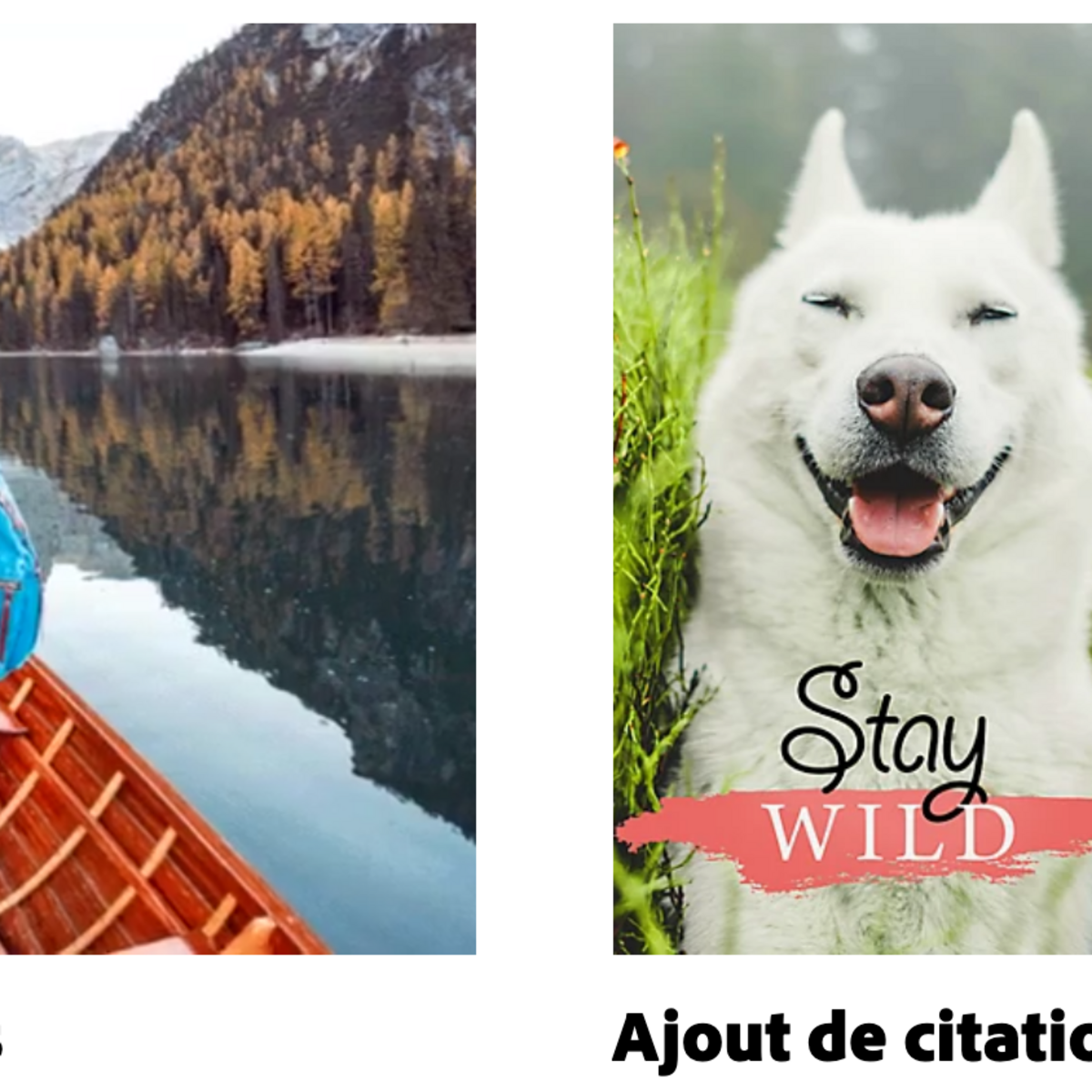 Adobe dévoile Elements 2021 et Premiere Elements 2021