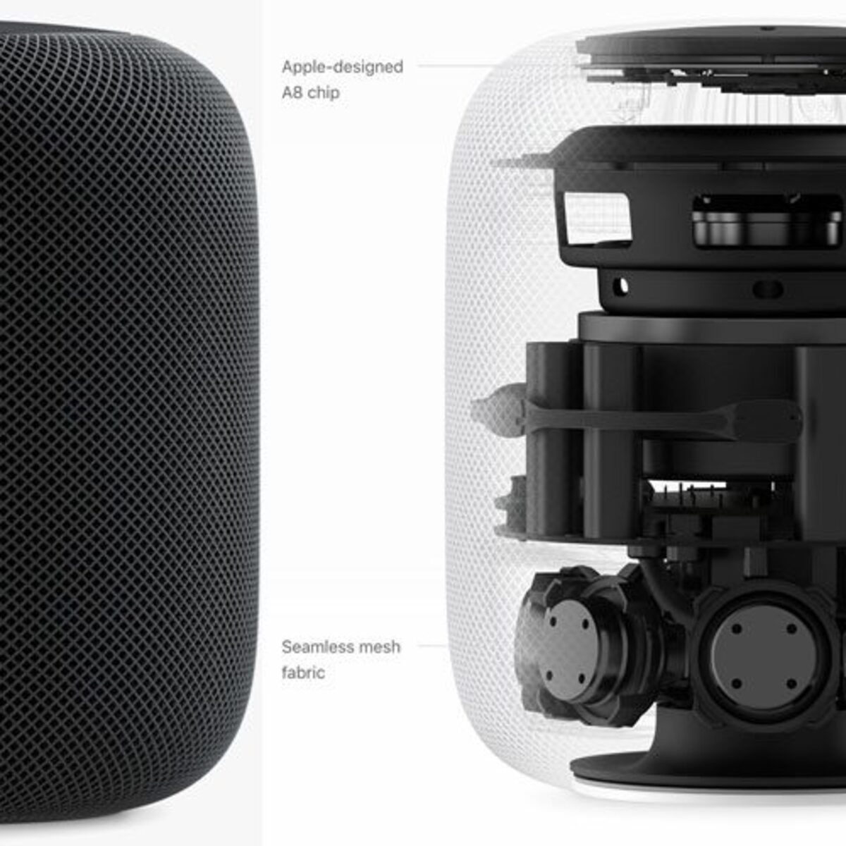 What speakers know. Apple HOMEPOD. Умная колонка HOMEPOD. Mini pod колонка. Хоум под.