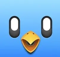 Un lecteur vidéo avec prise en charge du PiP pour Tweetbot 6