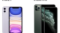 iPhone 11/Pro : une demande élevée et un intérêt particulier pour les nouvelles couleurs