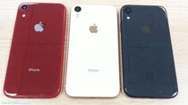 L'image du jour : un vrai proto d'iPhone Xc (LCD, 6,1"), avec ses trois couleurs (et sa double-SIM)