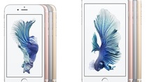 Baisse des prix sur l'iPhone 7/7 Plus, 6s/6s Plus et iPhone SE