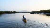 Journée de la Terre : Apple veut protéger la mangrove en Inde