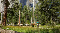 Apple finance le reboisement du Parc National de Yosemite !