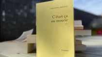 IA dans un roman du Goncourt : l'éditeur Boréal lâche Thélyson Orélien