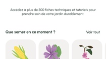 Dr. Jonquille & Mr. Ail, une app pour un jardin responsable