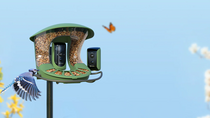 Des produits connectés qui révolutionnent l'observation des oiseaux chez Birdfy