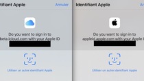 Touch ID/Face ID permettent de s'identifier sur certains sites d'Apple (en beta)