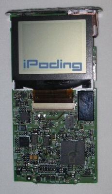 iPod mini à poil !