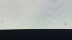 Insolite : quand des moucherons se coincent dans l'écran de l'iMac 5k