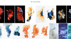 Tous les fonds d’écrans iOS et macOS désormais disponibles (+ ceux du nouveau MacBook Pro)