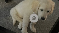 iOS : comment lire et modifier les métadonnées des photos sur iPhone et iPad