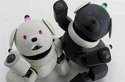 Aibo2, le retour !