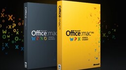 Mise à jour 14.5.6 : Office 2011 est compatible  avec El Capitan