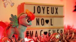 Joyeux Noël ! Passez de bonnes fêtes ! (Et vive les poneys !)