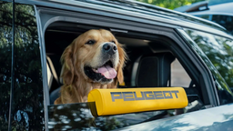 Peugeot dévoile un e-5008 pensé pour les chiens, avec sèche-poils intégré