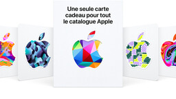 Il utilise une carte cadeau Apple et PAF, il perd 20 ans de vie numérique