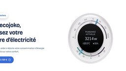 Bon plan économie d'électricité : EcoJoko à 129€ au lieu de 199€ avec Watt Watchers
