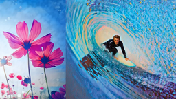 Nouvelle interface et outils IA pour Adobe Photoshop Elements et Premiere Elements 2024