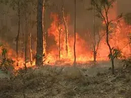 Au tour des pompiers australiens de s'en prendre à Plans d'Apple