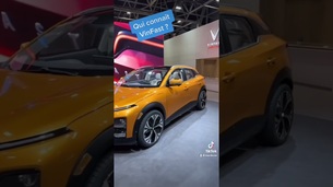 Qui connaît VinFast ?