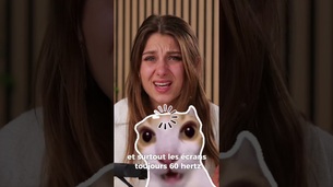 📢 Nouveau MacBook Air M5 avec 512 Go, Wi-Fi 7 & Bluetooth 6😎