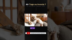 On peut traquer et suivre la santé de nos animaux grâce au traceur d'Invoxia ! #airtags #invoxia