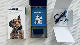 Test du Minitailz, le traqueur santé (IA) d'Invoxia pour chien