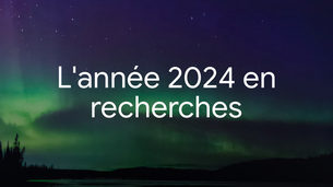 Quel est le top des recherches Google pour 2024 (des choix surprenants...) ?