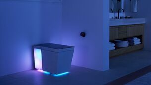 Qui veut des toilettes connectées à 11 500 dollars ?
