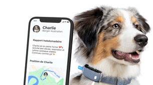 Pour ses trackers, Invoxia choisit le Français Mistral AI !