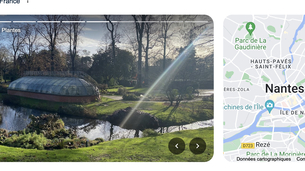Google Maps de retour dans la recherche Google ?