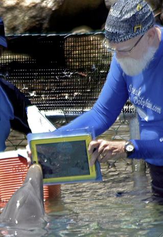 Même les dauphins utilisent l'iPad