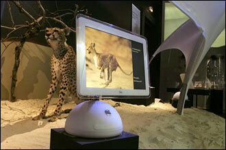Des iMac au Sahara...