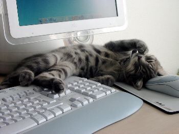 Le G4 aussi c'est utile :-)