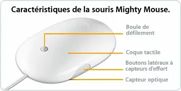 Nouvelle souris Mighty Mouse !