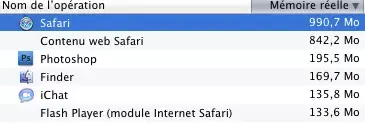 Lion : un bug avec Safari, trop gourmand en mémoire ?