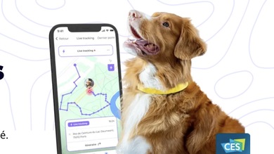 Un collier pour chien lié à l'Apple Watch, pour ne plus perdre son animal (Invoxia Smart Dog Collar)