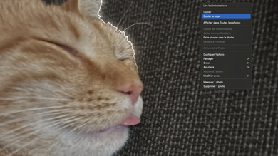 Comment détourer automatiquement le sujet d'une photo sous macOS Ventura (et iOS/iPadOS 16)