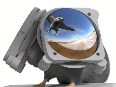 Étonnant : voici un casque VR pour les souris !