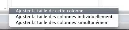 Astuce : régler automatiquement les colonnes du Finder