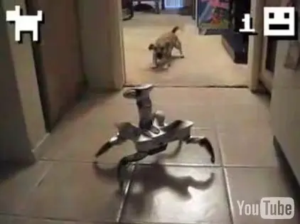 Insolite : le combat du chien contre la machine