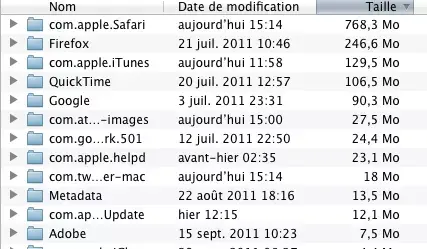 Est-ce prudent de vider les "cache" de votre Mac ?