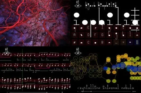 Björk proposera son nouveau clip sur l'Oculus Rift mais a des doutes sur le streaming